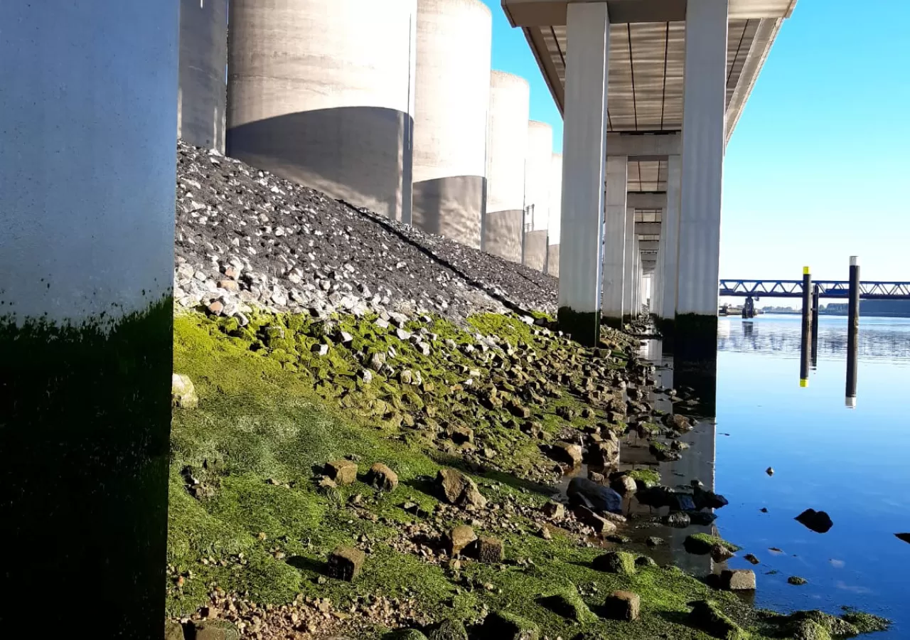 Betonnen onderdelen van het Spoorviaduct beschermd