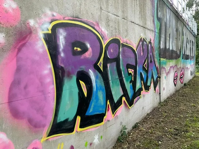 Verwijderen van graffiti op een onbehandelde ondergrond.